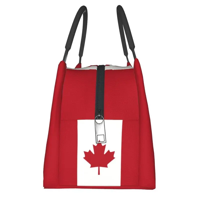 Tas Makan Siang Terisolasi Ben - Women Bags In Canada ulasan dan harga